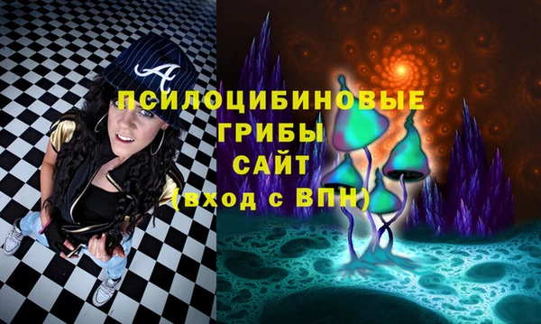 соль ск Верхний Тагил