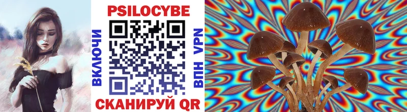 Псилоцибиновые грибы Magic Shrooms  дарк нет формула  Волчанск 